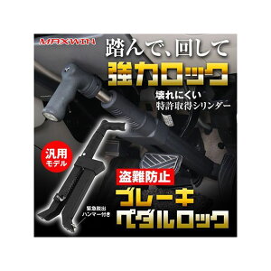 MAXWIN ����h�~�u���[�L�y�_�����b�N S-HLOC02 MAXWIN �u���[�L