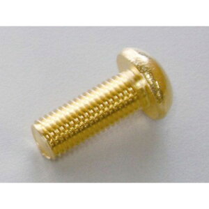 C.F.POSH SUS304 Zpt{^Lbv{g ^Cv 24bL lWTCY M10×15 P1.25/1 E811840-015 NGCeBuEt@Ng[ |bV ̑O֘Ap[c oCN ėp