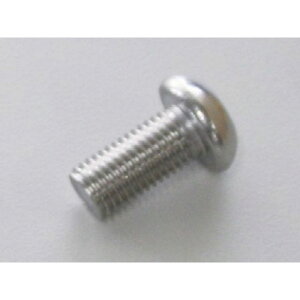 C.F.POSH SUS304 Zpt{^Lbv{g ^Cv XeX lWTCY M10×20 P1.25/1 E821840-020 NGCeBuEt@Ng[ |bV ̑O֘Ap[c oCN ėp