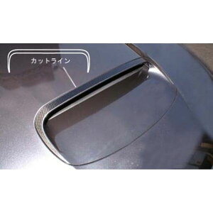HASEPRO �X�o�� �C���v���b�T WRX-sti GRB/GVF�i2011.1�`�j �{���l�b�g�o���W �V���o�[ CBNBS-1S �n�Z�v�� �O��