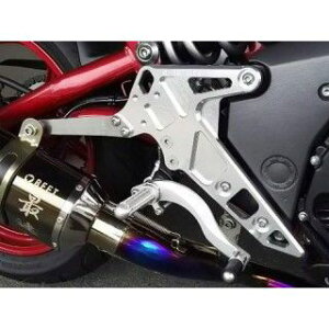 BEET Evolution }t[pTCT[Xe[Zbg 9162-KC9-00 r[gWp }t[Xe[Eoh oCN Ninja400