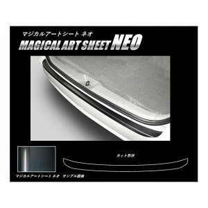 HASEPRO �A�[�g�V�[�gNEO �g���^ �G�X�e�B�}50�n �J�[�S�X�e�b�v�K�[�h �u���b�N MSN-CST1 �n�Z�v�� �O��