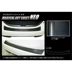 HASEPRO �A�[�g�V�[�gNEO �g���^ �A�N�A NHP10�i2011/12�`�j �J�[�S�X�e�b�v�K�[�h �u���b�N MSN-CST9 �n�Z�v�� �O��