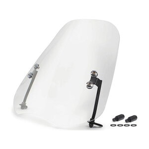 SP TAKEGAWA �X�N���[���L�b�g �E09-11-0391 SP���� �X�N���[���֘A�p�[�c �X�[�p�[�J�uC125