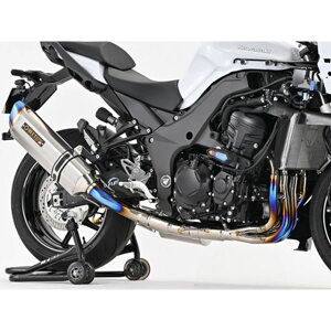 BEET NASSERT Evolution GT �t���G�L�]�[�X�g�}�t���[�i�A�b�v�d�l/���^���u���b�N�T�C�����T�[�j 0257-KI7-MB �r�[�g�W���p�� �}�t���[�{�� Ninja1100SX