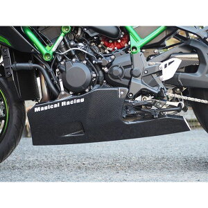 Magical Racing �A���_�[�J�E�� �ގ� ���D��J�[�{���� 001-ZH224-170A �}�W�J�����[�V���O �J�E���E�G�A�� ZH2