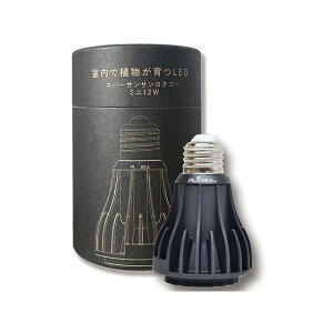 zensui Ever Sun 365 mini 12W�i�u���b�N�j �[���X�C �A�N�A���E���p�i