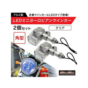 MADMAX �o�C�N�p �A���~�� �p�^ LED �~�j���[���s�A���E�C���J�[ 12V 2�Z�b�g�i�N���A�j MM11-0088-02 �}�b�h�}�b�N�X �E�C���J�[�֘A�p�[�c �ėp