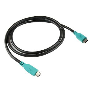 RAM MOUNTS GDS����USB TypeC�P�[�u���iTypeC�I�X-TypeC�I�X�j1m RAM-GDSCABUSBCCM2010 �����}�E���g �d�q�@���