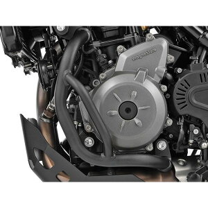 Wunderlich �G���W���K�[�h W40611-002 �����_�[���b�q �G���W���K�[�h F450GS