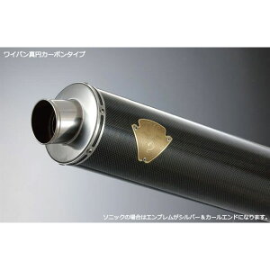 Rfs GEAR Co VO^Cv TCT[ J[{ WS07-01CF A[YMA }t[{ oCN GSX1300R HAYABUSA