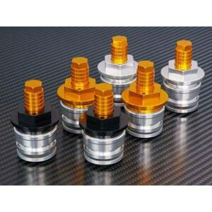 BABYFACE tgtH[NgbvLbv J[ ubN 005-K0006BK xr[tFCX tgtH[N Ninja250R