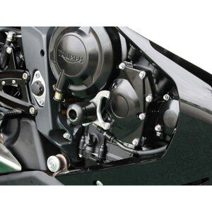 BABYFACE GWXC_[ tTCh ETCh 006-ST008ER xr[tFCX XC_[ oCN DAYTONA 675 STREET TRIPLE 765