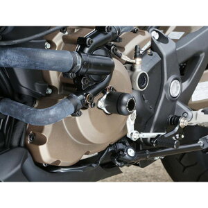 BABYFACE LGWXC_[ 006-SD004b xr[tFCX XC_[ oCN