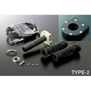 ACTIVE ԎpnCXbgLbg TYPE-2 z_[J[ ubN a 28 1069011 ANeBu Obv֘Ap[c oCN CBR600RR