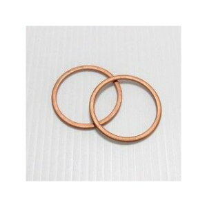 ALBA EGM-25 エキゾーストマフラーガスケット 内容 2個 EGM-25-2 アルバ マフラーガスケット バイク ゼファー1100 ゼファー1100RS