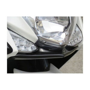 VIVID POWER MAJESTY S CgA_[veN^[iQdグj Qdグ L rrbhp[ JEEGA oCN }WFXeBS