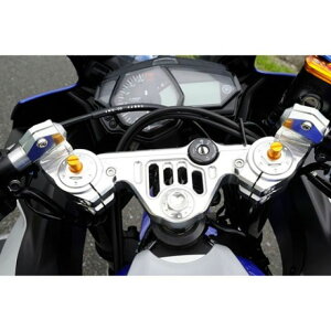 AGRAS gbvubWnhZbgi[X^Cvj 321-275-005 AOX gbvubW֘Ap[c oCN YZF-R25