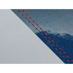 Grondement W650i99N EJ650A1/C1j YV[gJo[  Gi^bNu[ C O[C dl ԃ_uXeb` GH5557KC577SW40 Oh} V[g֘Ap[c oCN W650