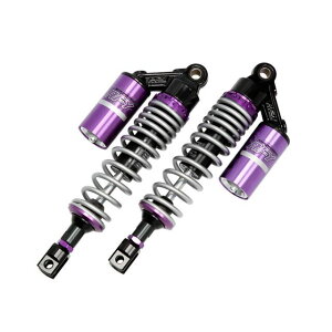 RFY AVbNi20mmԍAbvj J[ Vo[p[v sasp3002 A[GtC ATXyV֘Ap[c oCN GSX1100S