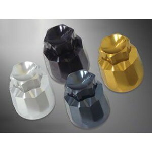 ant lion カムチェーンテンショナーケース カラー チタンゴールド 34001-TG アントライオン エンジン部品 バイク SR400