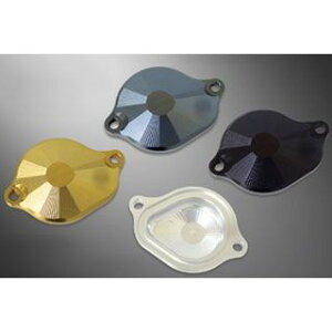 ant lion V_[wbhTChJo[ J[ Vo[ 34003-SL AgCI GW{ oCN SR400