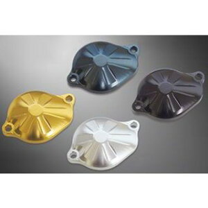 ant lion V_[wbhTChJo[ Ver.II J[ `^u[ 34004-TB AgCI GW{ oCN SR400