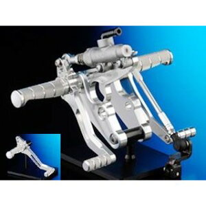 NITRO RACING �o�b�N�X�e�b�v �x�A�����O�^�C�v �}�X�^�[�V�����_�[�t �J���[ �V���o�[ BS-01RYS-BR �i�C�g�����[�V���O �o�b�N�X�e�b�v�֘A�p�[�c