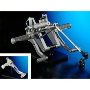 NITRO RACING �o�b�N�X�e�b�v �x�A�����O�^�C�v �}�X�^�[�V�����_�[�t �J���[ �u���b�N BS-02RYB-BR �i�C�g�����[�V���O �o�b�N�X�e�b�v�֘A�p�[�c Z1000J/Z1000R Z1100R/Z1100GP