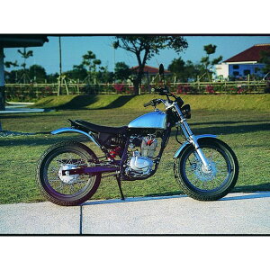 BIG CEDAR A~^NTYPE-4 11004-01 rbOV[_[ ^N֘Ap[c oCN FTR223