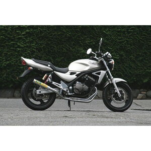 RPM RPM-67Racing tGL][Xg}t[ TCT[Jo[ A~ 1663-01 A[s[G }t[{ oCN BALIUS-2