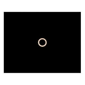 special replace pbLV[ 49mmtH[Np E008211 [J[݌ɂ XyVv[X ̑TXyVp[c oCN _Cif