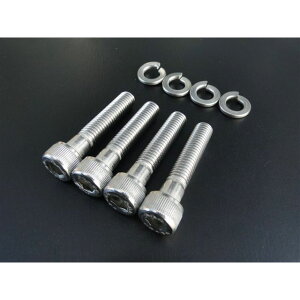 BRC GS400 }t[t{gZbg E6963 r[A[V[ ̑}t[p[c oCN GS400S@