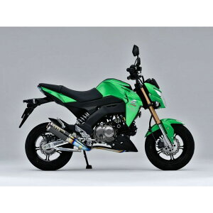 OVER RACING GP-PERFORMANCE XL t`^ }t[ E16-65-06 I[o[[VO }t[{ oCN Z125-PRO