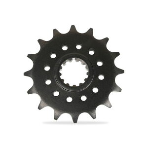 SUNSTAR tgXvPbgi`F[TCYF520 F16j 3A5-16 TX^[ XvPbg֘Ap[c oCN ZX-6R [Xx[X