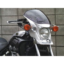 楽天市場】VMAX ビキニカウルの通販