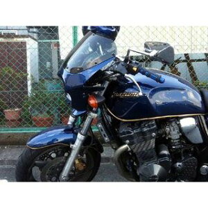 WW ėprLjJE DS-01 typeAEROip[_[NXy[Xu[j ds-01aero-21 [hEH[N JEEGA oCN