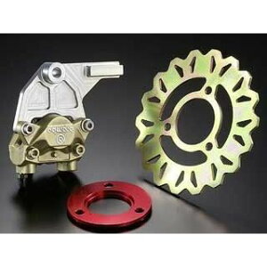 AGRAS u{2PT|[g&ItZbgXy[T[iApj 317-104-000 AOX Lp[ oCN APE100 Type-D XR100p