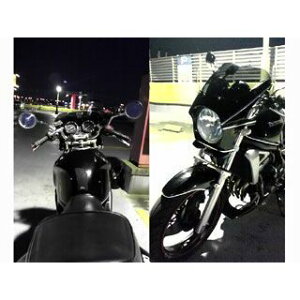 yizWW ėprLjJE DS-01 typeAEROi^bNXp[NubNj ds-01aero-7 [hEH[N JEEGA oCN