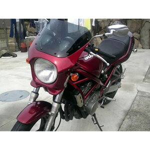 yizWW ėprLjJE DS-01 typeAEROiLfB[AJf~[}[j ds-01aero-s4 [hEH[N JEEGA oCN