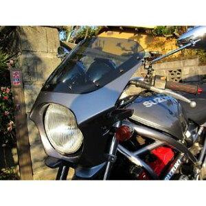 WW ėprLjJE DS-01 typeRiA[o~fBAO[^bNj ds-01r-26 [hEH[N JEEGA oCN