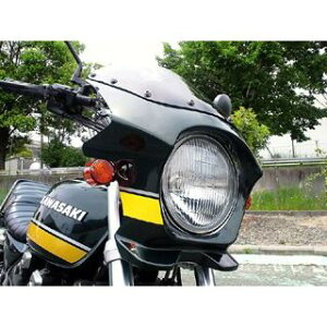 WW ėprLjJE DS-01 typeRi~iXEBU[O[j ds-01r-6 [hEH[N JEEGA oCN [t@[X/750