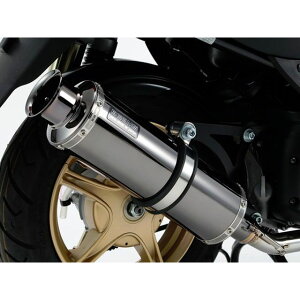 BEAMS SS300 SPiJMCAFj }t[ TCT[ SMBiX[p[^ubNj G248-05-000 r[X }t[{ oCN JOG ZR