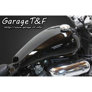 T&F Xgb`^NLbg EMG250GT03 K[WT&F ^N֘Ap[c oCN }Oi250/S