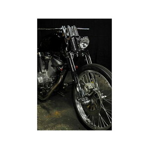 K&W r[SpXvK[tH[NKIT J[ bL P20810 iK&W tgtH[N r[S250