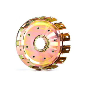 HINSON ^ rbgNb`oXPbg NbVt YZ450F 2016 HS316 q\ Nb`