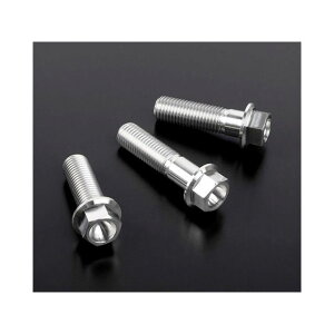 ZETA `^ tW{g X^_[h M10 P=1.25iCOj TCY M10×40mm D6688 [J[݌ɂ W[^ ̑O֘Ap[c oCN ėp