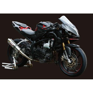 STRIKER RACING CONCEPT tGL][XgiXeX/`^j 6136RA XgCJ[ }t[{ oCN CBR250RR