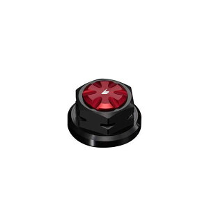 BIKERS H0136 Xeibg J[ bh H0136-RED oCJ[Y gbvubW֘Ap[c oCN