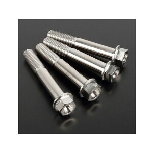 ZETA `^ gbvubW tH[NNv {gLbg M8×50i4{j D6988 [J[݌ɂ W[^ ̑O֘Ap[c oCN DRZ400S XR250/MOTARD